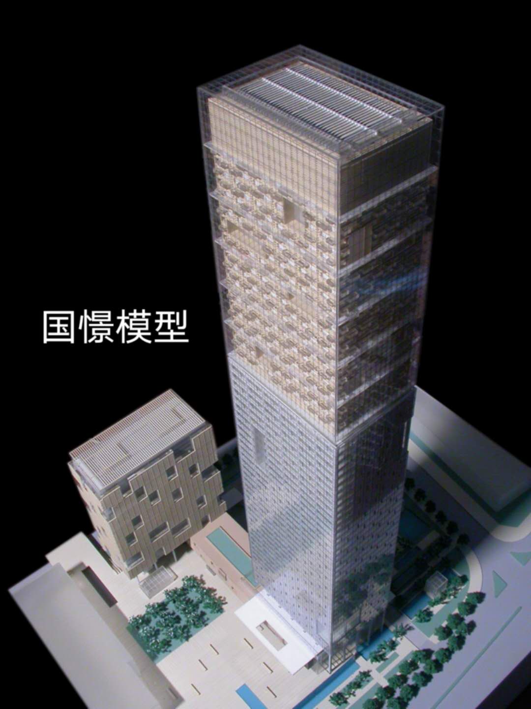 玉树建筑模型